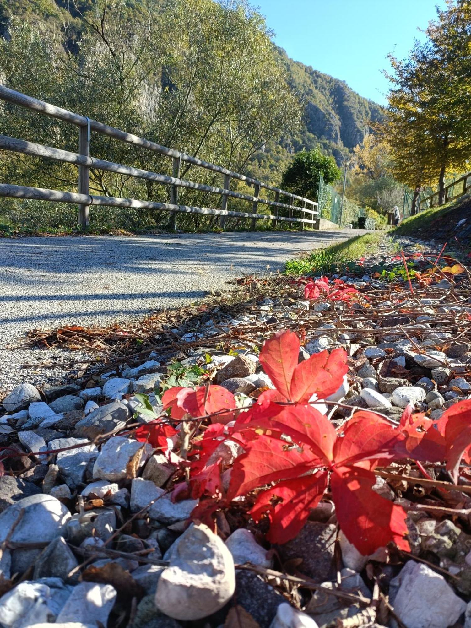 Borgo Lungofiume B&B Valbrenta ภายนอก รูปภาพ